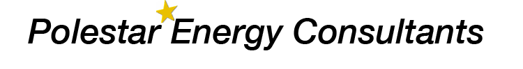 Polestar Logo small